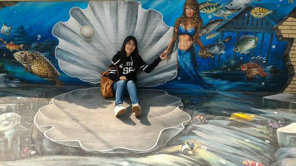 漫遊好美-立體彩繪村：嘉義布袋好美里超強3D彩繪  可以跟靜止的圖像互動  連大人都可以玩到不亦樂乎