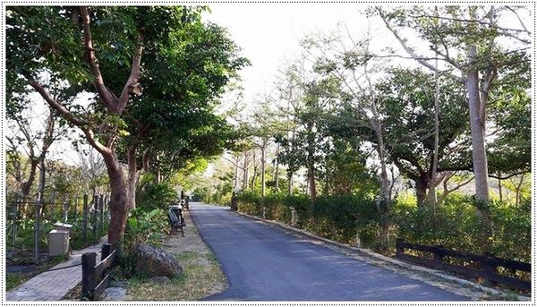 16790754_120300002150614323_1403067956_n