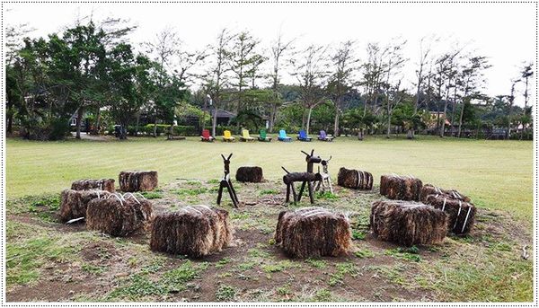 16780578_120300002138151734_848080400_n