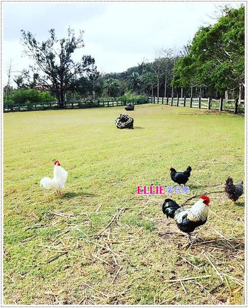 16788129_120300002160425547_672744067_n