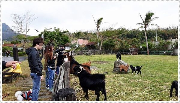 16809314_120300002156543851_201810255_n