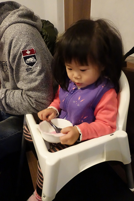 20170211雲林虎尾野川堂 (17)