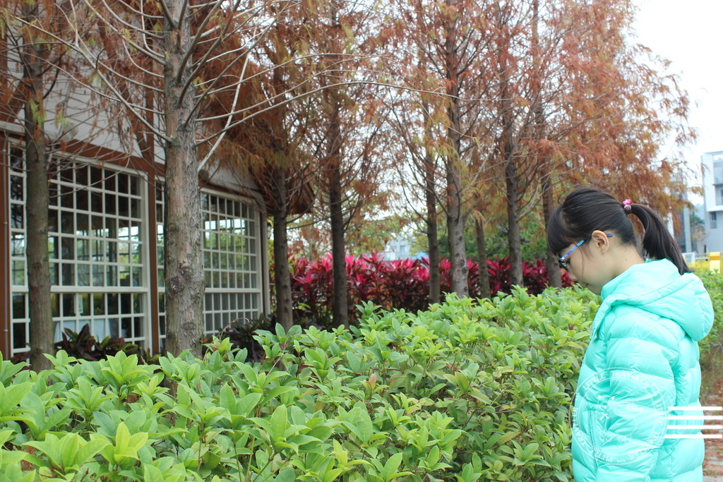 IMG_2494.JPG IMG_2494.JPG