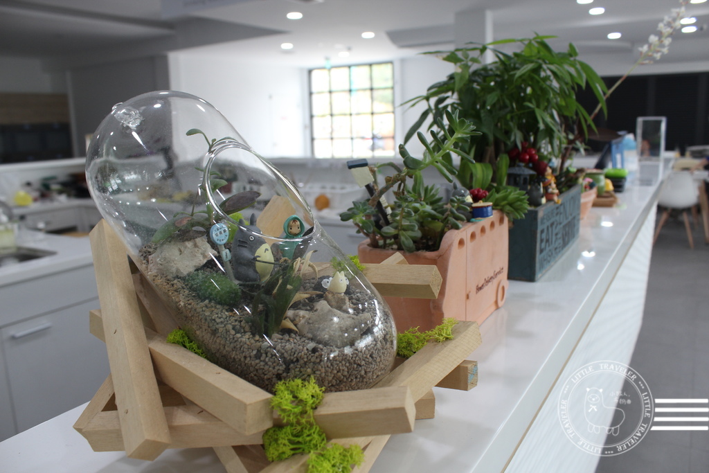 IMG_2447.JPG IMG_2447.JPG