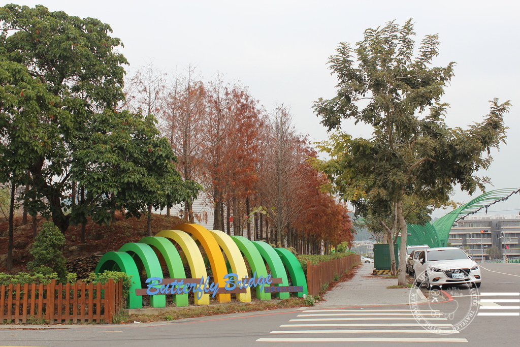 IMG_2479.JPG IMG_2479.JPG