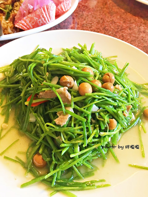 【台中 烏日】樹德山莊●超級隱密的老宅古早味餐點，全家聚餐這裡會是個好地方!!!宵夜場再+1，清幽、舒適，吃飽附近還有個小公園可以走走哦~~