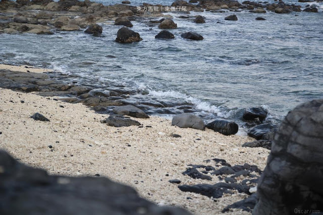 東方馬龍｜東礁仔尾-7