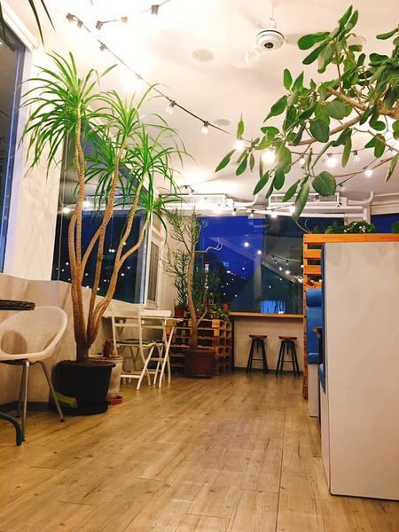 66041616_10217984933590302_2932904394728931328_n.jpg 66041616_10217984933590302_2932904394728931328_n.jpg