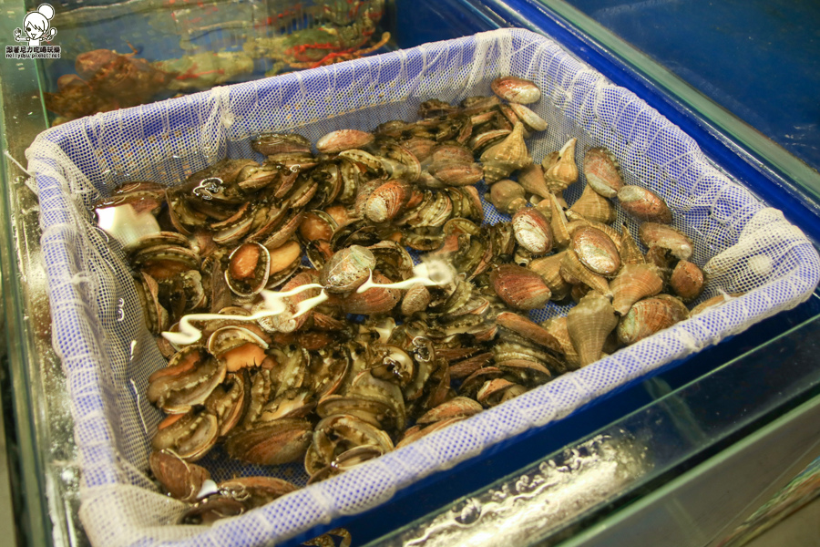 紅頭嶼蒸氣海鮮 蒸鍋 火鍋 海鮮新鮮-2421.jpg