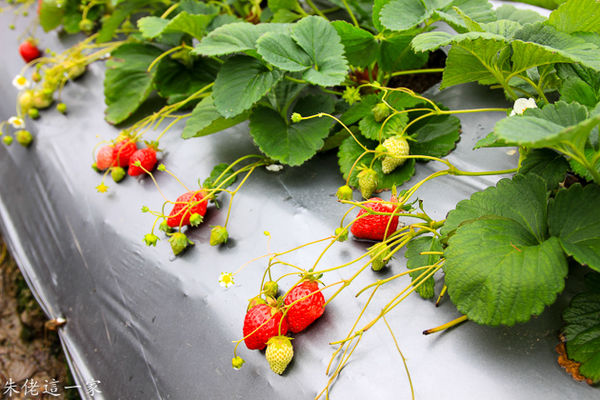 IMG_0016.jpg IMG_0016.jpg