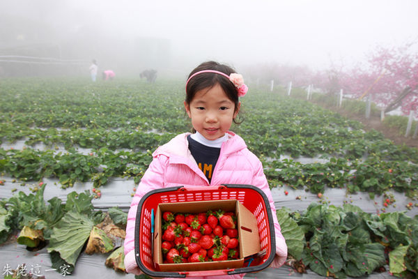 IMG_0098.jpg IMG_0098.jpg