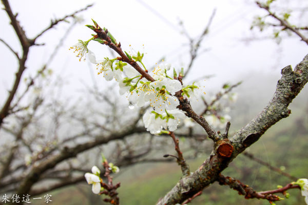 IMG_0104.jpg IMG_0104.jpg