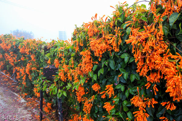 IMG_0005.jpg IMG_0005.jpg