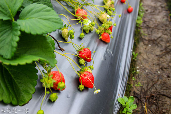 IMG_0027.jpg IMG_0027.jpg