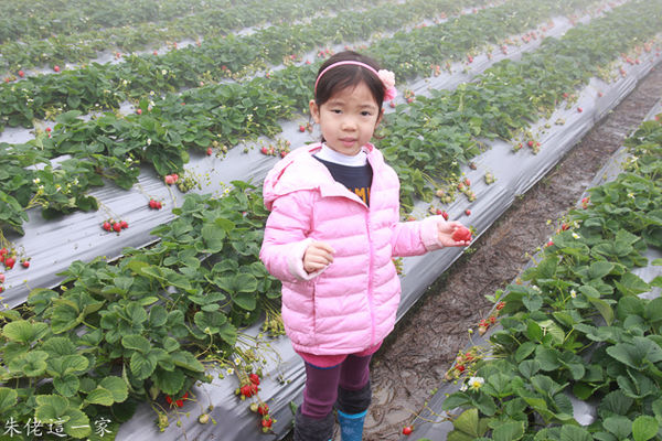 IMG_0036.jpg IMG_0036.jpg