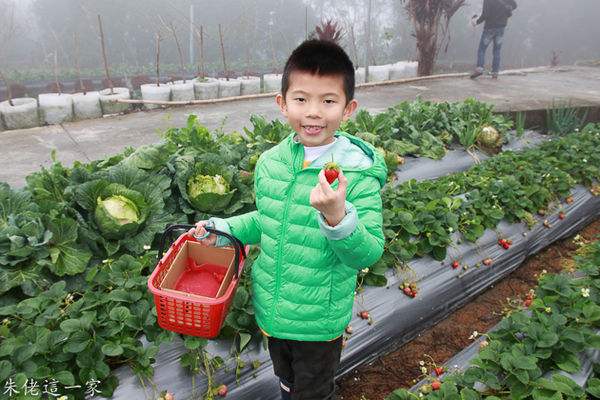 IMG_0014.jpg IMG_0014.jpg