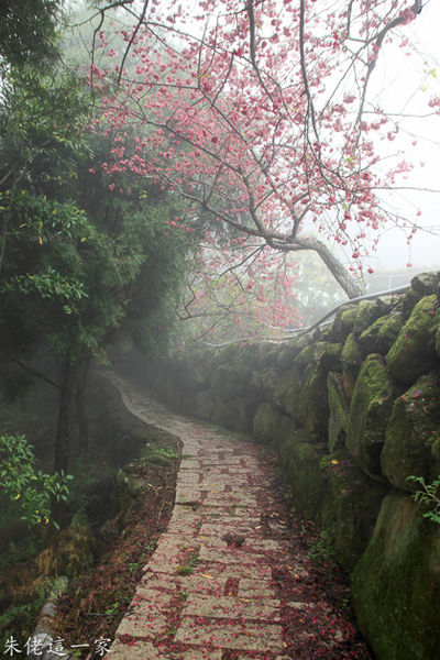 IMG_0065.jpg IMG_0065.jpg