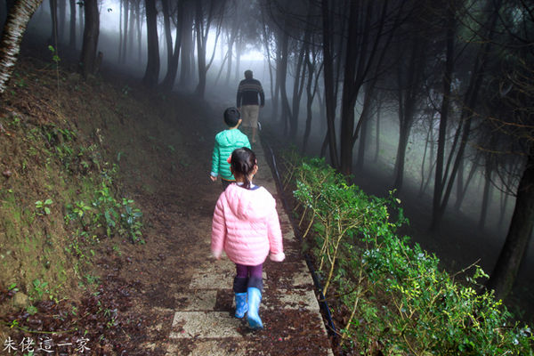 IMG_0095.jpg IMG_0095.jpg