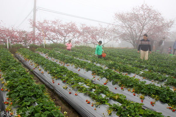 IMG_0028.jpg IMG_0028.jpg