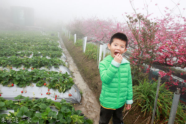 IMG_0059.jpg IMG_0059.jpg