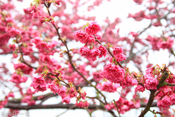 IMG_0020.jpg IMG_0020.jpg