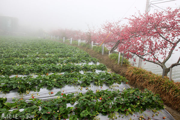 IMG_0007.jpg IMG_0007.jpg