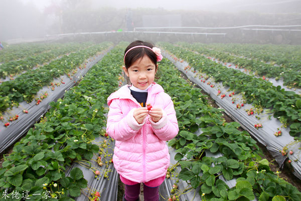 IMG_0057.jpg IMG_0057.jpg