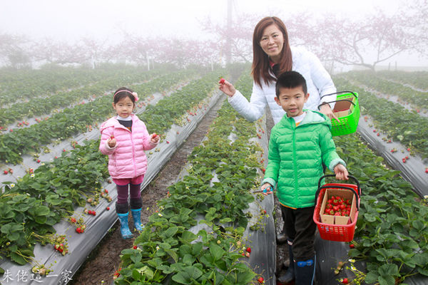 IMG_0041.jpg IMG_0041.jpg