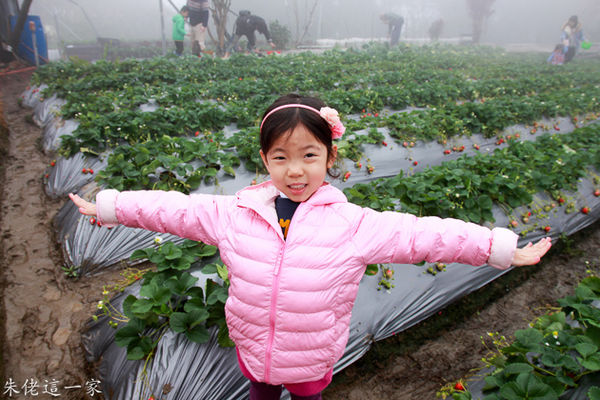 IMG_0061.jpg IMG_0061.jpg