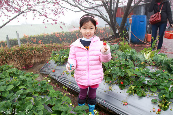 IMG_0009.jpg IMG_0009.jpg