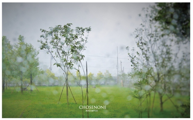 南投埔里錯喜歡旅棧-57