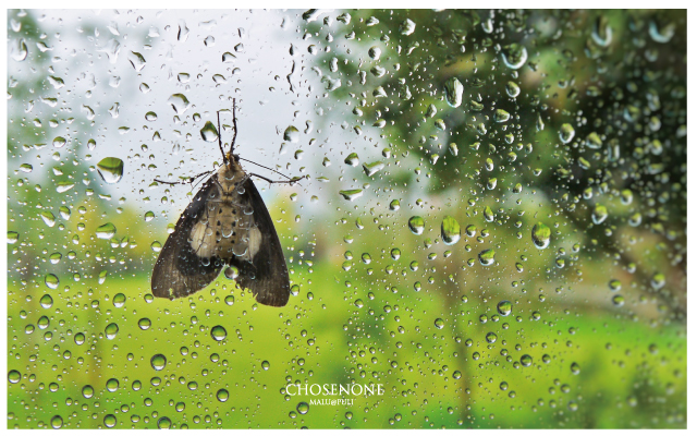 南投埔里錯喜歡旅棧-58