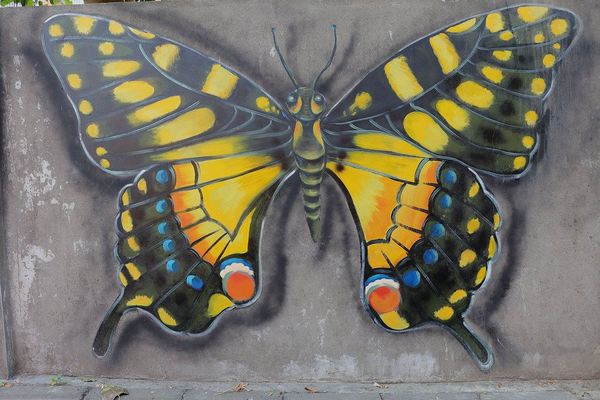 台中潭子國小彩繪巷:【台中景點】潭子國小彩繪~隨著走入時光的隧道,尋回兒時的記趣,跟著旅人的腳步,一塊來享受時光記趣吧