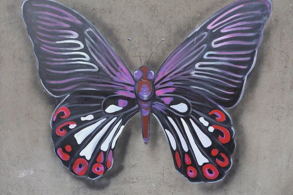 台中潭子國小彩繪巷:【台中景點】潭子國小彩繪~隨著走入時光的隧道,尋回兒時的記趣,跟著旅人的腳步,一塊來享受時光記趣吧