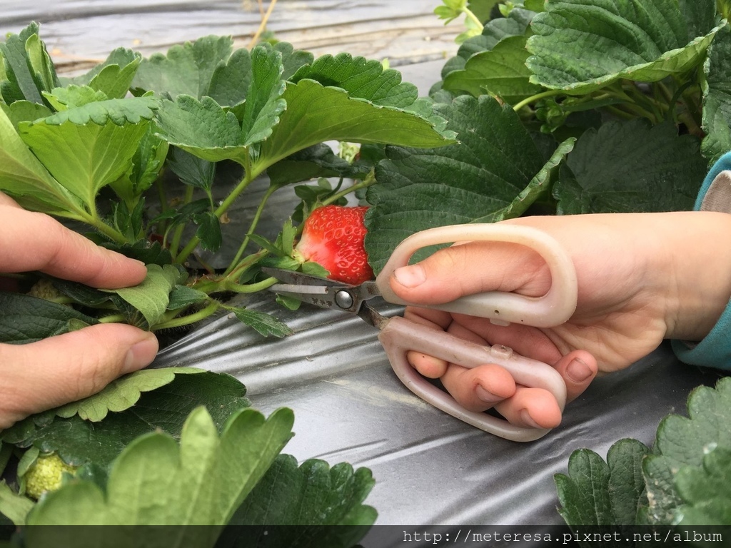 IMG_4189.JPG IMG_4189.JPG