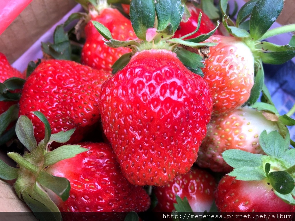 IMG_4215.JPG IMG_4215.JPG