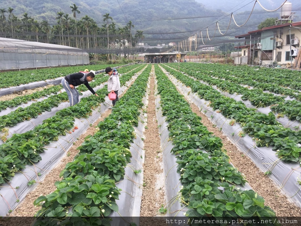 IMG_4187.JPG IMG_4187.JPG