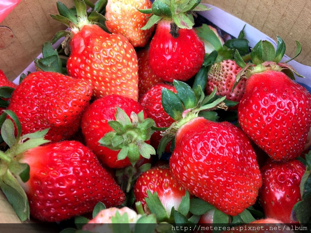 IMG_4216.JPG IMG_4216.JPG