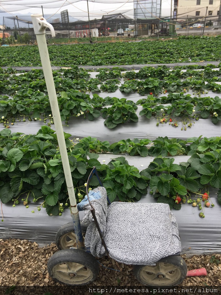 IMG_4218.JPG IMG_4218.JPG