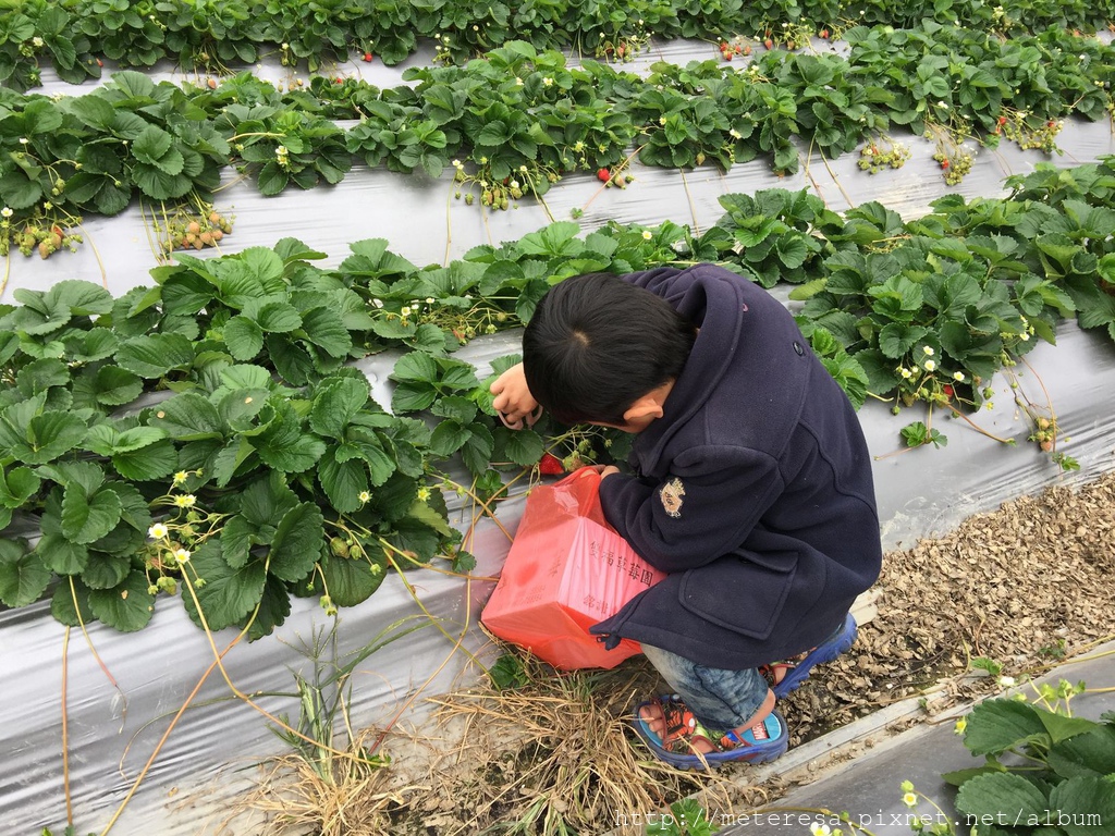 IMG_4209.JPG IMG_4209.JPG