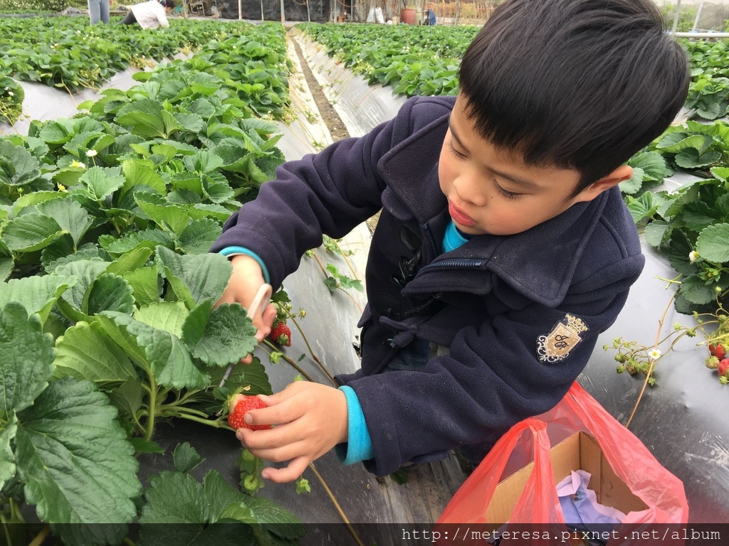 IMG_4204.JPG IMG_4204.JPG