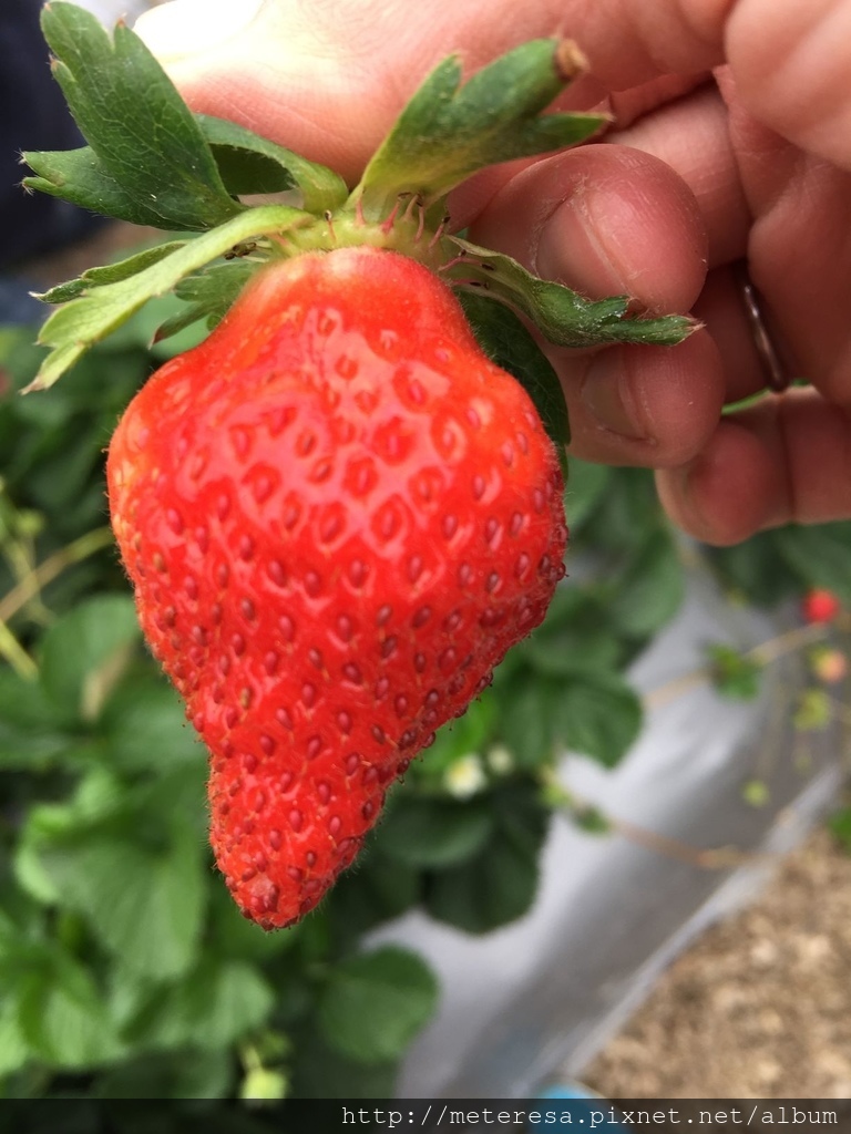 IMG_4184.JPG IMG_4184.JPG