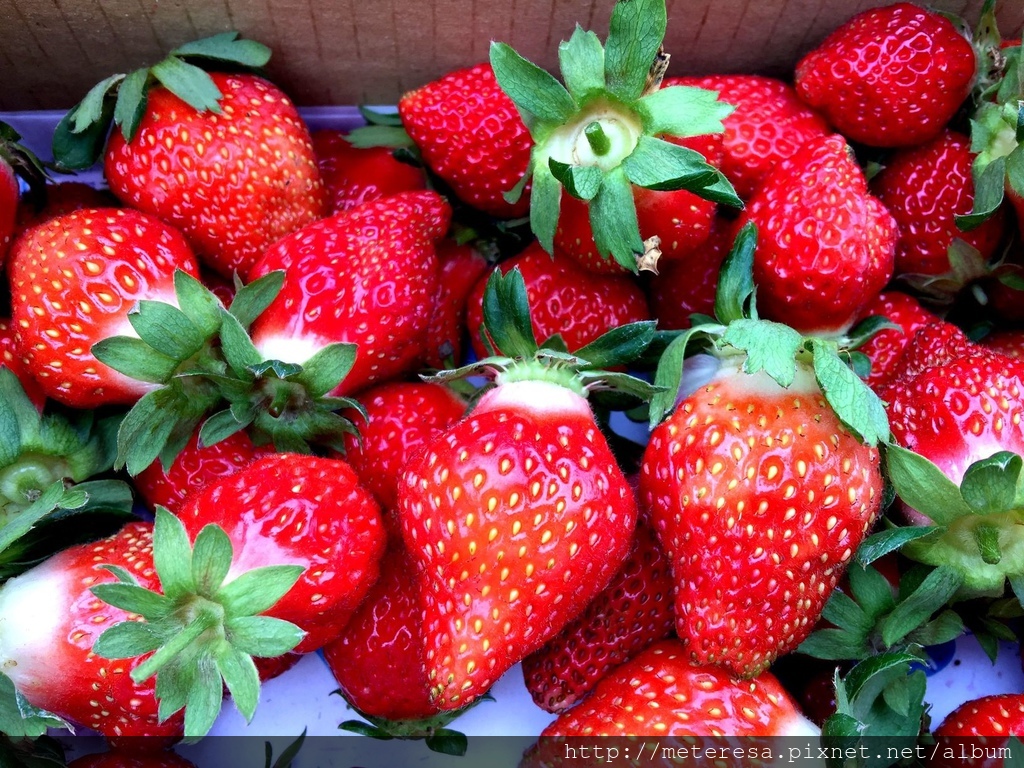 IMG_4214.JPG IMG_4214.JPG