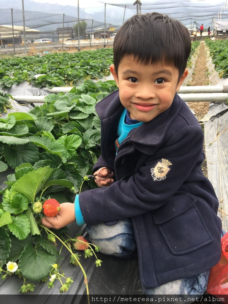 IMG_4195.JPG IMG_4195.JPG