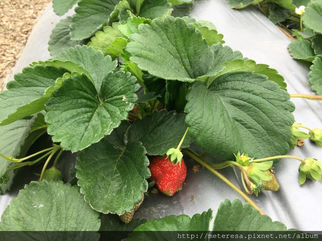 IMG_4192.JPG IMG_4192.JPG