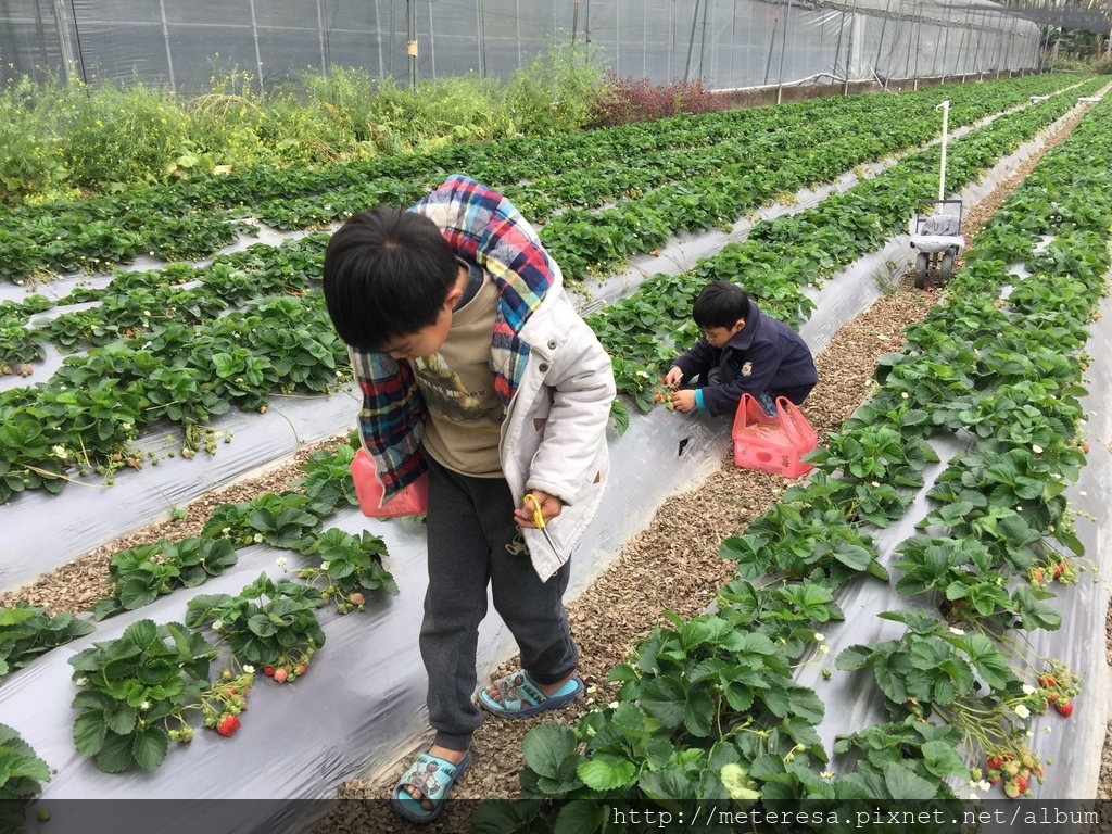 IMG_4219.JPG IMG_4219.JPG