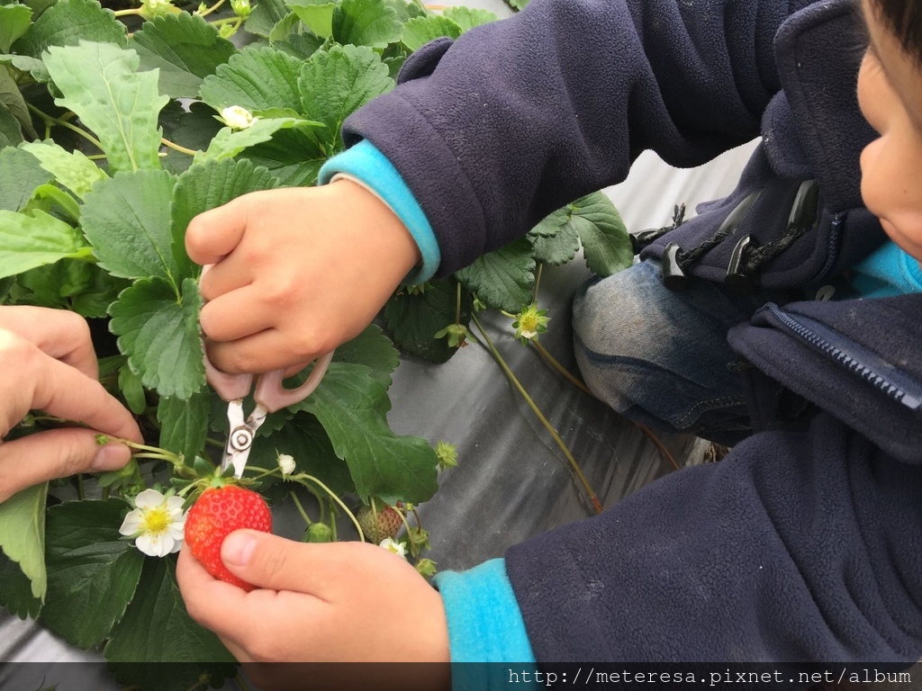 IMG_4186.JPG IMG_4186.JPG