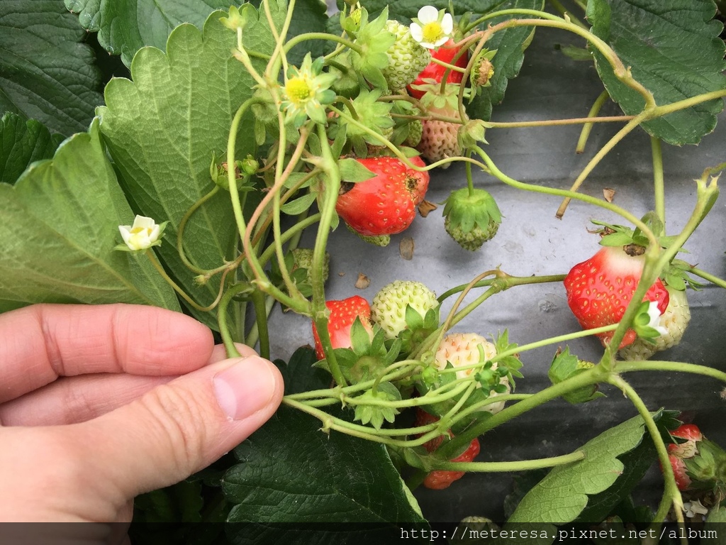 IMG_4193.JPG IMG_4193.JPG