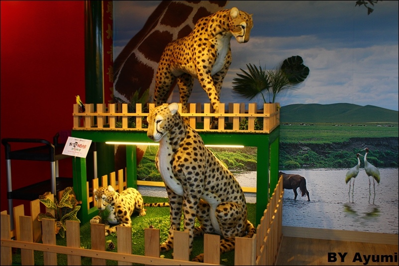 龍皇丹信仰餐飲：『愛評體驗團』一個很特別、很有特色的餐廳－龍皇丹信仰餐飲