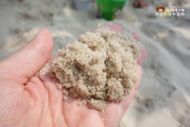 大房子親子成長空間 (1).JPG